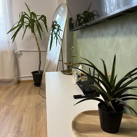 Olive House شقة